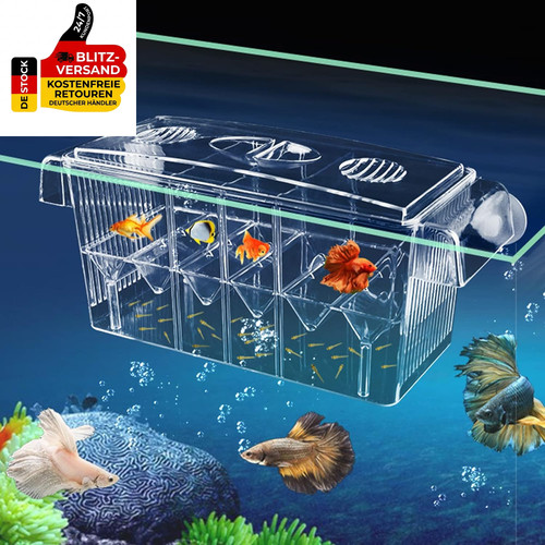 Ablaichkasten aquarium klein - aquarium,