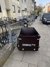 Babboe Dog-E Lastenfahrrad