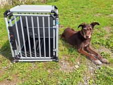 Hundetransportbox 4pets pro3 smal