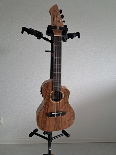 Ortega rumg konzert ukulele - ortega, konzert-ukulele
