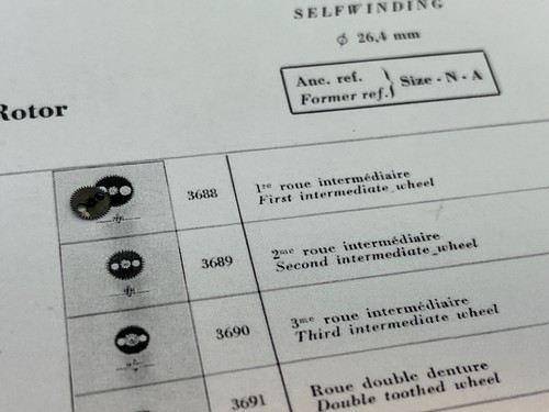 Rolex first intermediate - first,