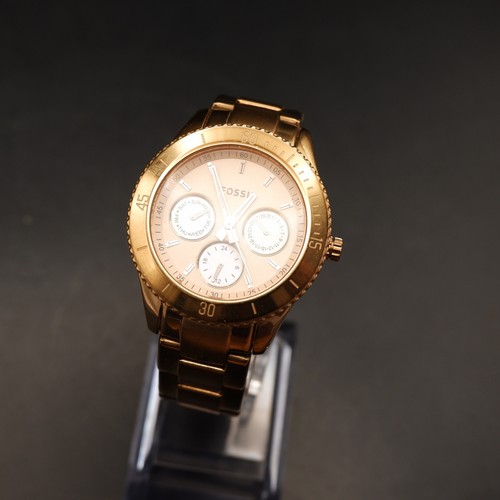 Fossil stella - fossil,