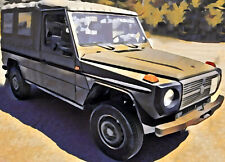 MERCEDES Wolf Steyr Puch
