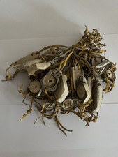 25 St. Hirschhorn "Ullr" -