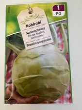 OVP 1 P. Kohlrabi Superschmelz Riesige Knollen Brassica gongylodes 350 Pflanzen