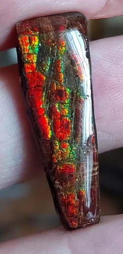 Rot-orange-grüner