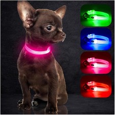 LED Hund Halsband Welpe Katzen