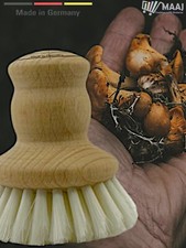 PILZBÜRSTE CHAMPIGNONBÜRSTE