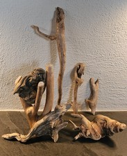7 Treibholz Schwemmholz