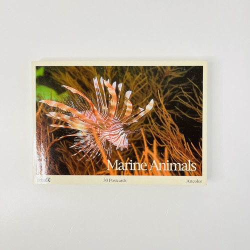 Marine animals postcards - 30,