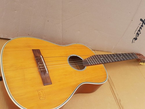 Wilhelm monke parlor - parlor, gitarre