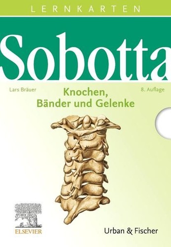 Sobotta lernkarten knochen - lernkarten,