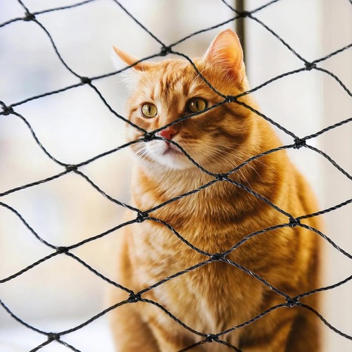 Katzennetz balkon - katzennetz,