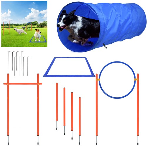 Hunde agility set training - hunde,