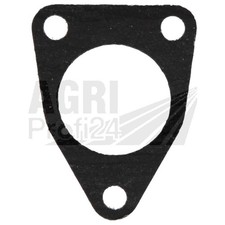 Dichtung Förderpumpe für