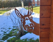 Kuh Ziege Pferd Ferkel Esel