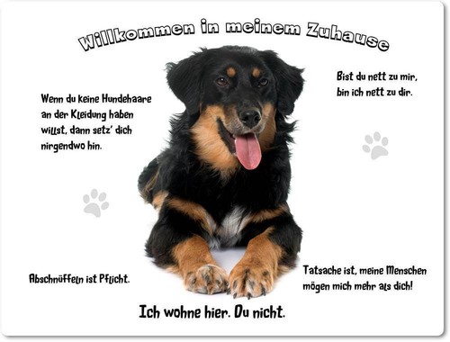 Warnschild 20x30cm - -,