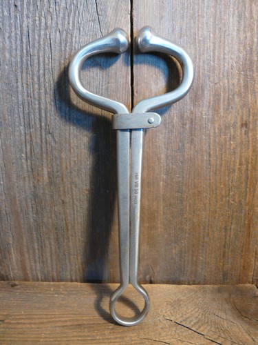 Bullen nasenring nasenklemme - nasenring,
