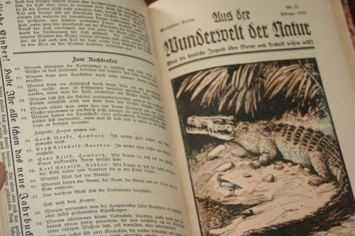 Aus der wunderwelt - wunderwelt, natur