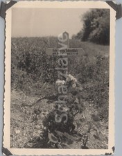 Foto, Grab Gefreiter Georg Schmittlutz 1940 (MJ-40)1025