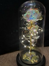 Leuchtrose in Glaskuppel