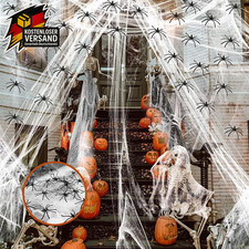 Spinnennetz Halloween 60G mit