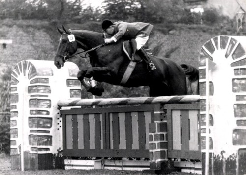 Foto springreiten sprung - foto, springreiten,