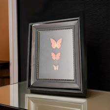 Alter antik Bild Bilderrahmen Schellack 3 Schmetterlinge hinter Glas schwarz