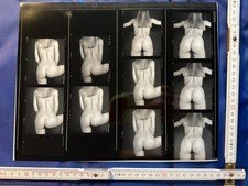 Analoge Fotografie Erotik Akt