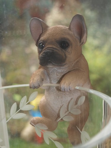 Bulldogge deko figur - bulldogge,