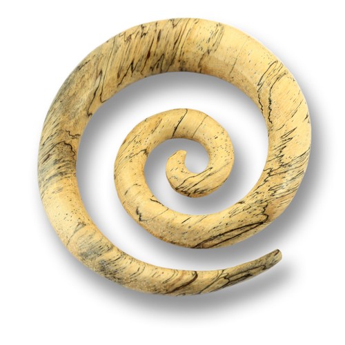 Xxl 12mm dehnungsspirale - xxl, 8/10/12mm