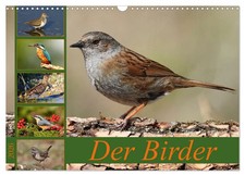 Leo Bucher | Der Birder