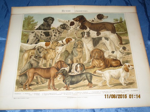 Chromo lithographie - chromo, /