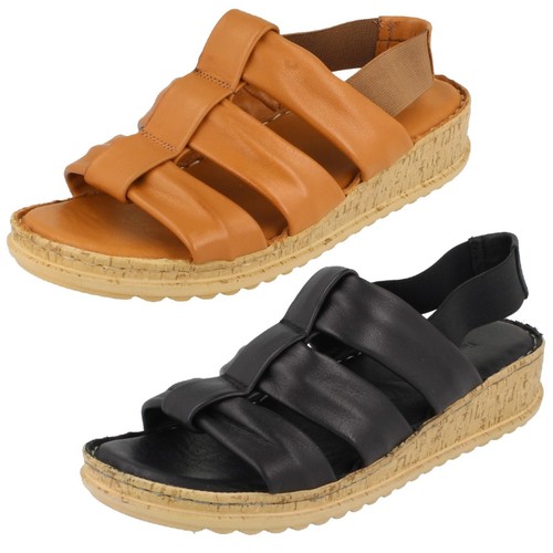 Hush puppies eden - puppies, gladiator