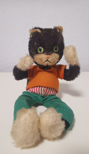ältere bigo bello kater von - bello,