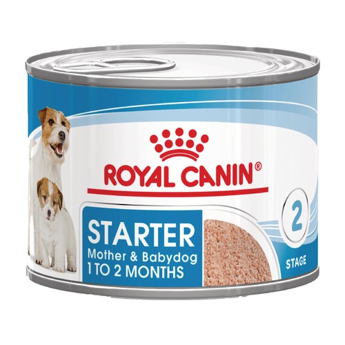 Royal canin starter - canin, mousse