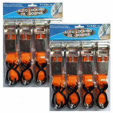 Ratschen Spanngurte 4,6 m 25