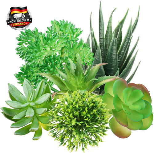 Künstliche sukkulenten 6 - künstliche, sukkulenten,