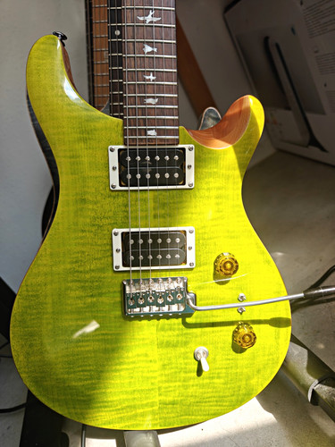 Prs custom 08 - se, eriza