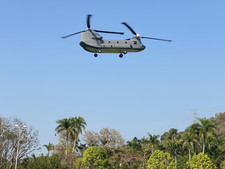 Chinook tandem 5 - tandem,