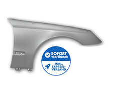 Kotflügel rechts lackiert