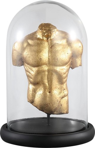 Ptmd figur rumpf in - figur,