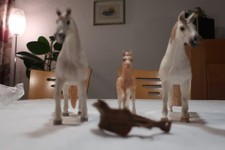 Schleich Pferde, Konvolut Familie mit 3 Pferden und Sattel, G13