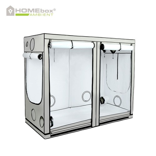 Homebox ambient r240 - ambient,
