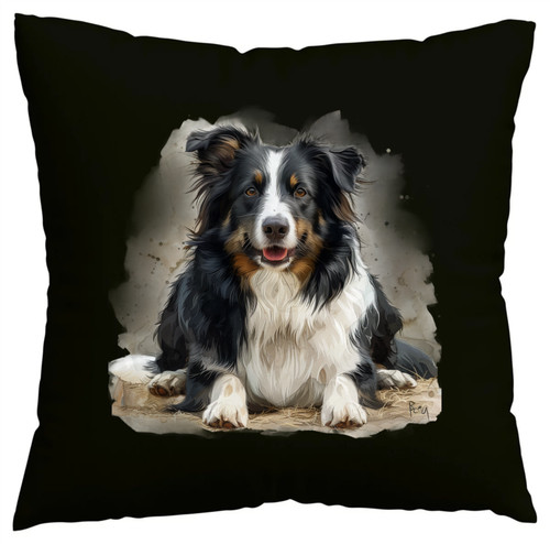 Kissenbezug border collie - border,