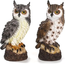 KatEule Deko Figur Waldkauz