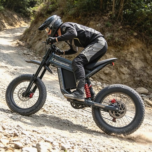 City bike 1500w - city,
