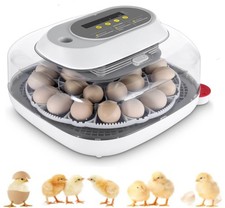 Inkubator Brutmaschine