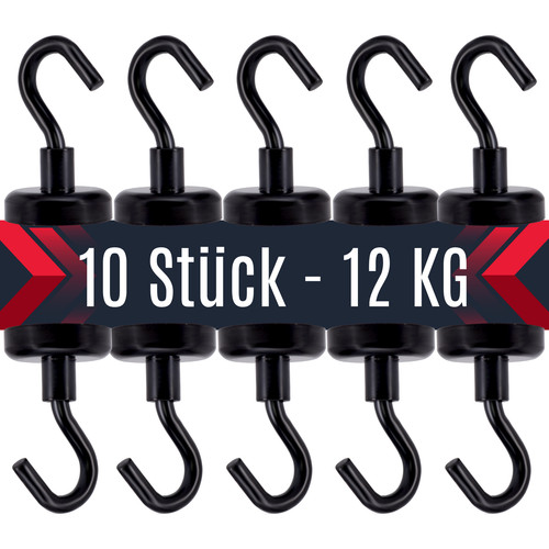 Stück neodym magnet - 10,