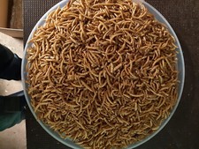 Mehlwürmer getrocknet 1 Liter Futter für Ihre Lieblinge. Deutsche Produktion